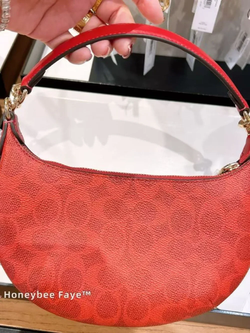 Mini Payton Bag In Signature Canvas CEL06